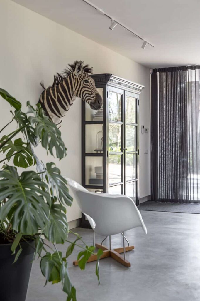 Gevlinderde betonvloer in Nijmegen. Hierop staat een witte stoel en een zwarte kast. Aan de wand hangt het hoofd van een zebra.