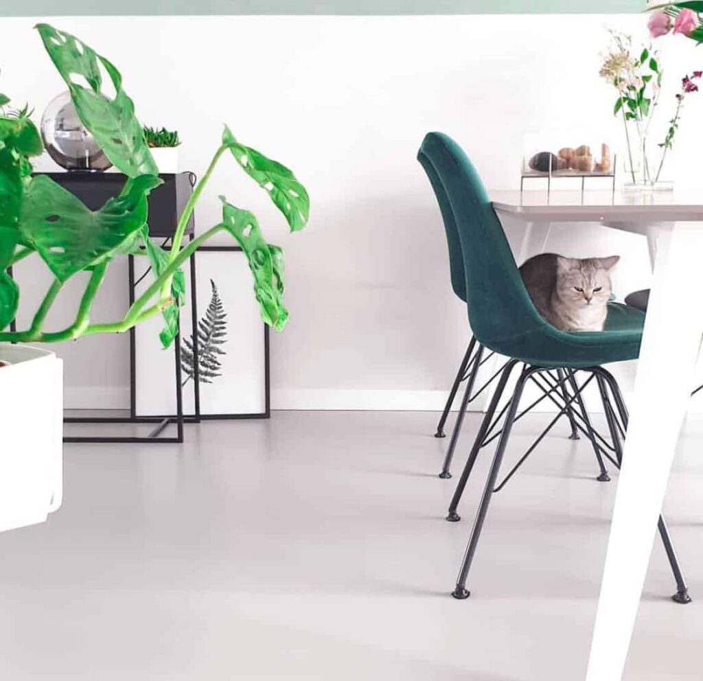 betonlook gietvloeren