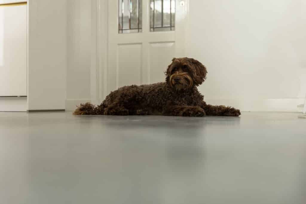 italiaanse betonlook vloer druten