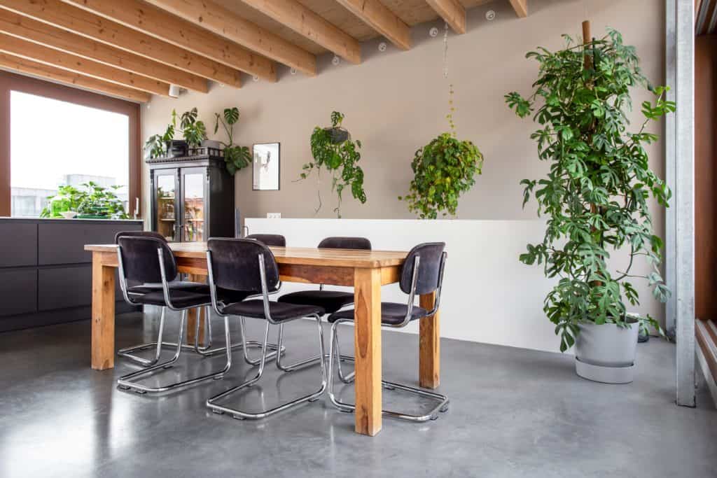 Eetkamer met een gevlinderde betonvloer. Houten tafel en 5 stoelen. Veel planten.