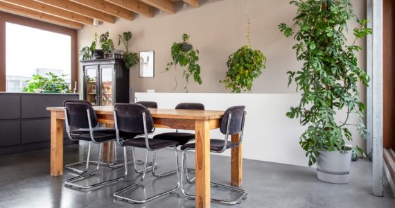 Eetkamer met een gevlinderde betonvloer. Houten tafel en 5 stoelen. Veel planten.